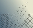 Minimalist vector illustration of a wire mesh fence transforming into birds flying away. Freedom, courage and success concept.