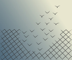 minimalist vector illustration of a wire mesh fence transforming into birds flying away. freedom, co