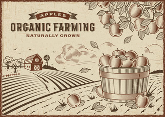 Wall Mural - Apple Organic Farming Landscape