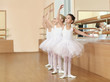 © Africa Studio - Group of little ballerinas practicing ballet using bar at class