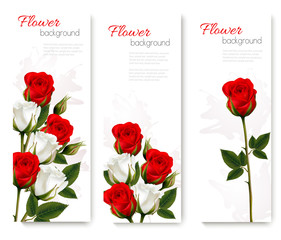 Fototapete - Set of holiday banners with beautiful red and white flowers. Vector.