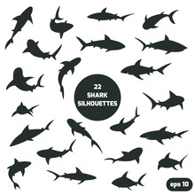 22 Shark Silhouettes Set