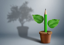 New Idea Creative Concept, Green Pencil Growing From Pot