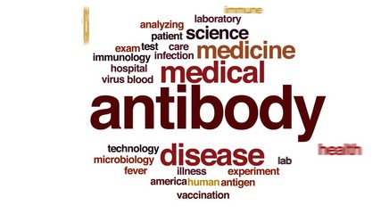 Poster - Antibody animated word cloud, text design animation.