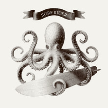 Vector Octopus Tentacles Holding A Surfboard In The Style Of Vintage Etchings