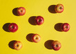 © pressmaster - Above view of ripe red apples arranged in rows on bright yellow background, color surge concept