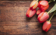 Bunch Of Fresh Spring Tulips On Old Vintage Wooden Board