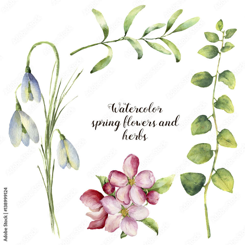 Watercolor Spring Flowers And Herbs Floral Set With Snowdrops