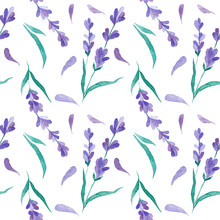 Watercolor Vector Pattern With Lavender. Hand Painting. Seamless Pattern For Fabric, Paper And Other Printing And Web Projects.