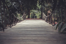 Vintage Style Wooden Pathway In Dark Tropical Forest With Vanishing Point