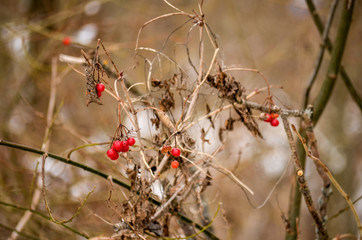 nature, naturelovers, nature perfection, natureza, naturelover, naturehippys, instagramanet, instatag, nature shooters, natureporn, natureaddict, pretty, nice, photooftheday,  day, mothernat