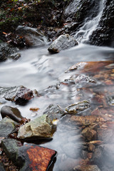 view on satin soft river with rocks and dead trees flowing in forest in autumn scenery