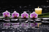 Fototapeta Kwiaty - tranquil spa scene-pink orchid and candle with plant