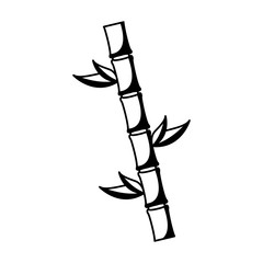 Poster - bamboo plant isolated icon vector illustration design