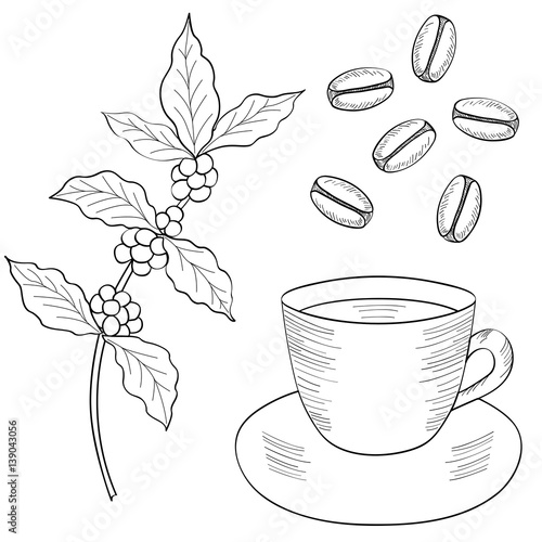 Coffee Plant Branch With Leaf Berry Bean Cup Food And Drink Organic Coffee Plant Branch With Leaf Berry Bean Cup Food And Drink Organic