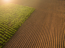 Aerial view ; Rows of soil before planting.Furrows row pattern in a plowed field prepared for planting crops in spring.Horizontal view in perspective.