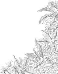 Wall Mural - Tropical  Plants Corner Background