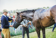 Man Giving Water To Sweating Horse After Race