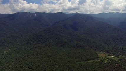 Wall Mural - Aerial View of Rainforest, Latin America