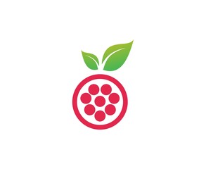 Wall Mural - Berries logo