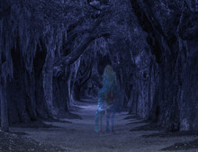 Ghost Of Woman On Horseback In Dark Forest