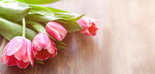 Pink Tulips On A Wooden Background With Water Drops On Stems And Flowers