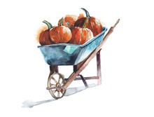 Pumpkins On A Wheelbarrow Watercolor Painting Isolated On White