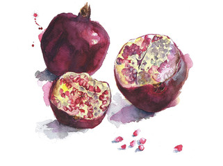 Pomegranates watercolor painting isolated on white