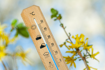 Thermometer