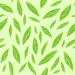 Wall Mural - Seamless vector pattern with green tea leaves