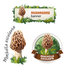 Set Of Mushroom Vector Banner, Badge, Sticker, Icon With Morel Mushroom
