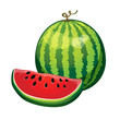 watermelon with a slice cut isolated on white background. vector illustration