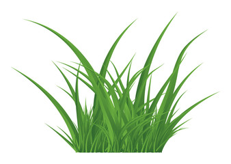 Wall Mural - Green grass isolated vector symbol icon design.
