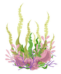 Wall Mural - sea plants and aquatic marine algae seaweed set vector illustration. yellow and brown, red and green
