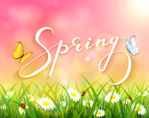 Poster - Pink spring background with grass and flowers