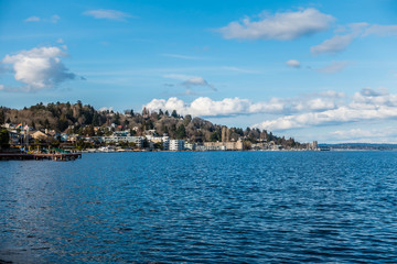 Leschi Shoreline 2