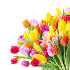 Fototapete - Bunter Blumenstrauß mit Tulpen
