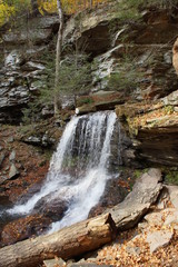 Ricketts Glen