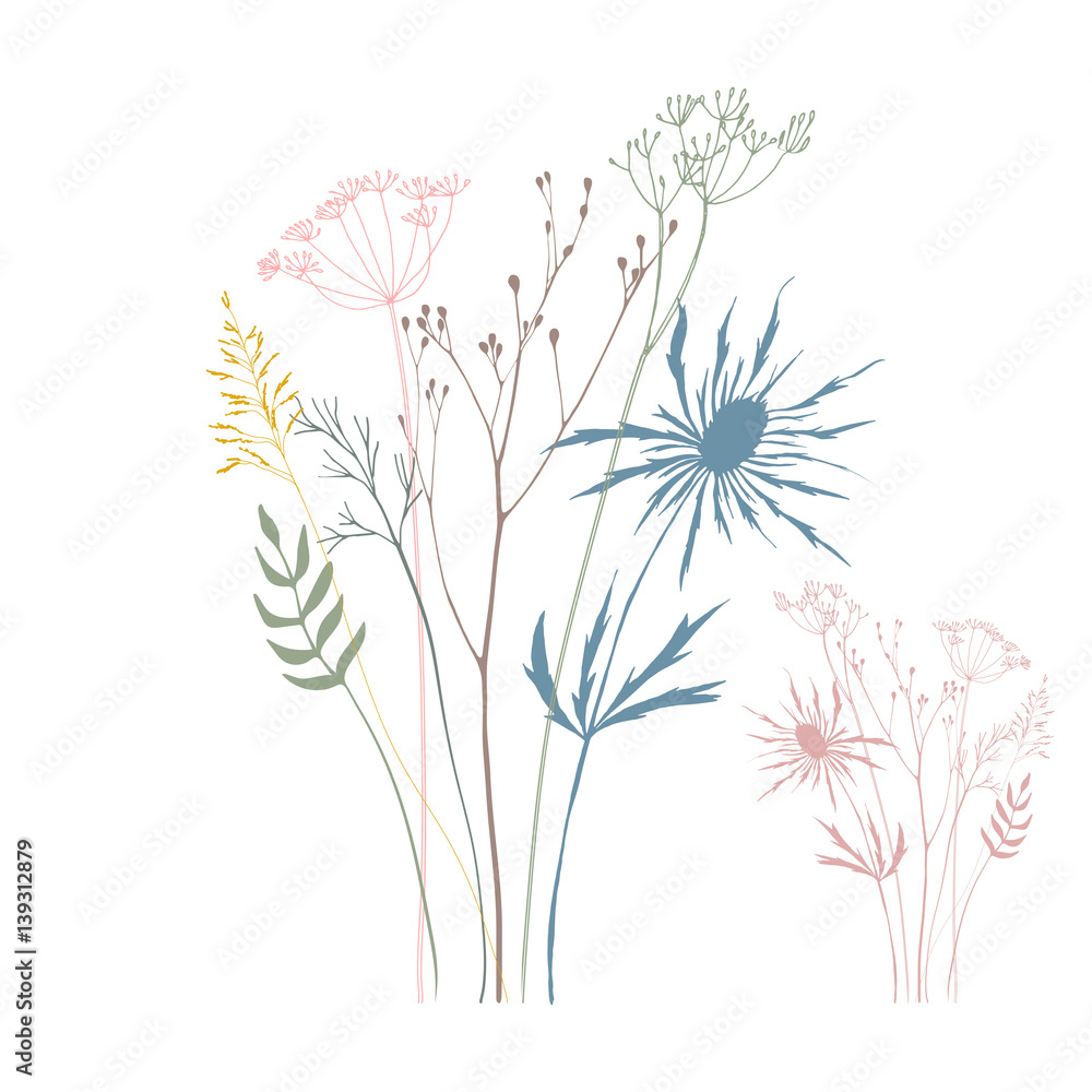 Vector illustration with wild meadow flowers, leaves and plants in a ...