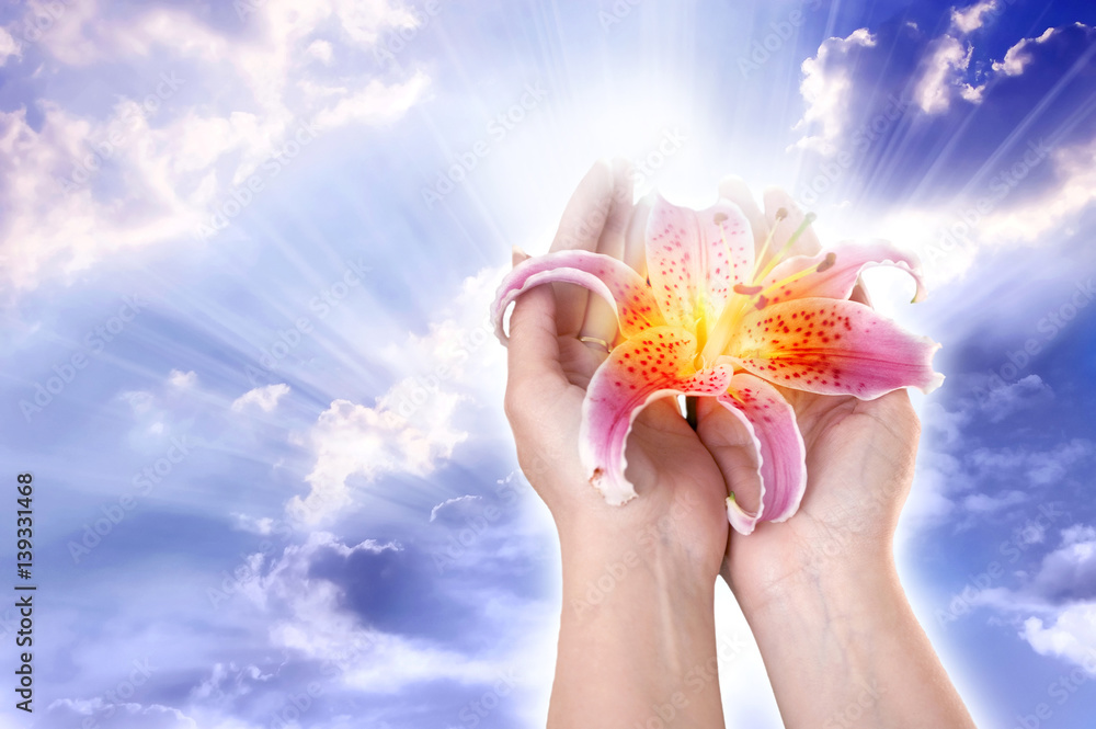 prayer hand with lily flower over mystic sky with divine rays of Light ...