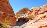 Fototapeta Mapy - Beautiful Valley of Fire State Park, Nevada, USA
