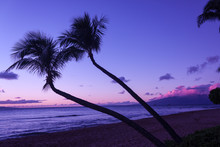 Tropical Maui Sunset