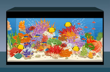 Marine Reef Saltwater Aquarium With Fish And Corals
