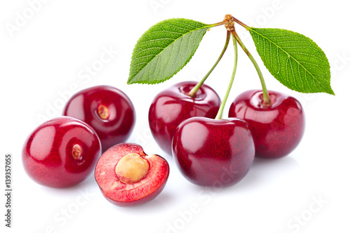 wisnia-z-liscmi-w-zblizeniu-na-bialym-tle