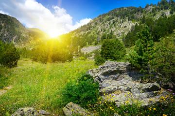 Wall Mural - beautiful sunrise in mountain valley in andorra.