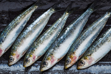 Wall Mural - Sardines on a serving plate