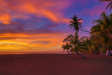 Vivid Ocean Sunset With Clouds And Palm Trees