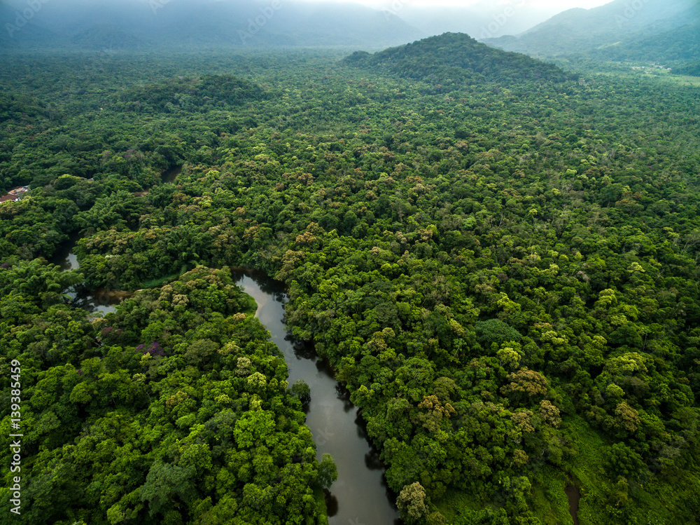 Aerial View of River in Rainforest, Latin America - obrazy, fototapety, plakaty 