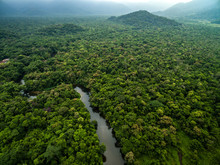 Aerial View Of River In Rainforest, Latin America