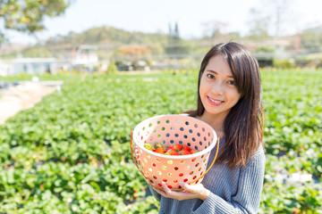 Sticker - Young woman holding a basket with strawberry